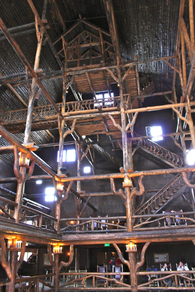 Jack Waller Photograph IMG_3791