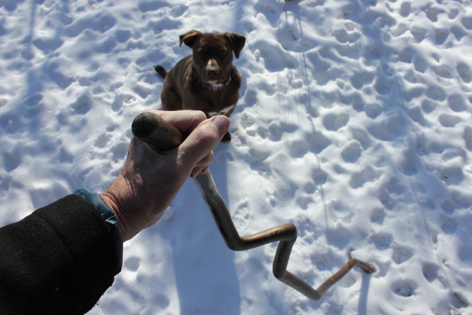 %22straight-crookedness-1